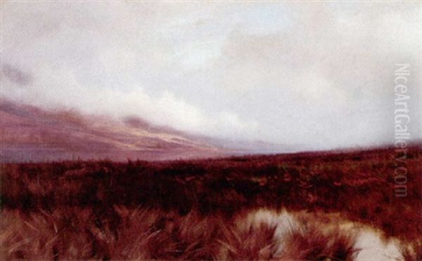 Misty Moorland - view 1