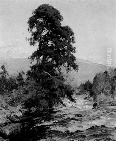 A Stream In Torrent - view 1
