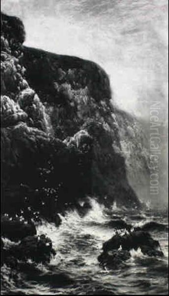 A Rocky Coast - view 1
