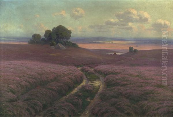 Auf Bluhender Heide: Spatsommer In Der Luneburger Heide - view 1