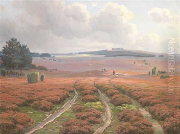 Heidelandschaft Bei Wilsede - view 1