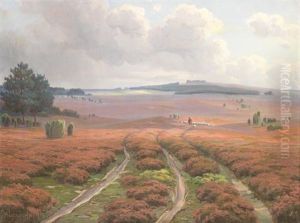 Heidelandschaft Bei Wilsede