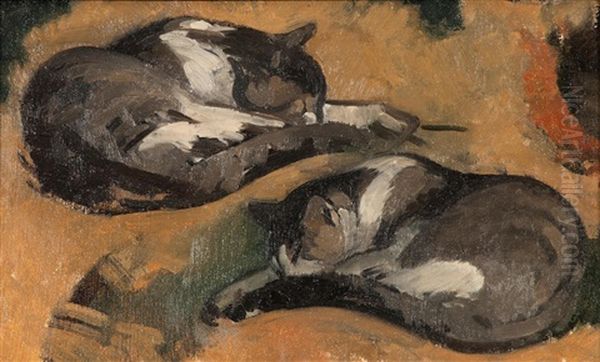 Kittens - view 1
