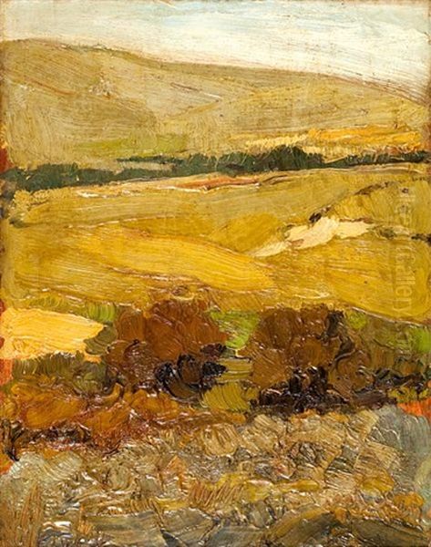 Landscape - view 1