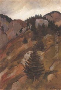 Fir Trees