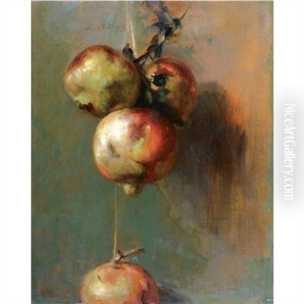 Pomegranates - view 1