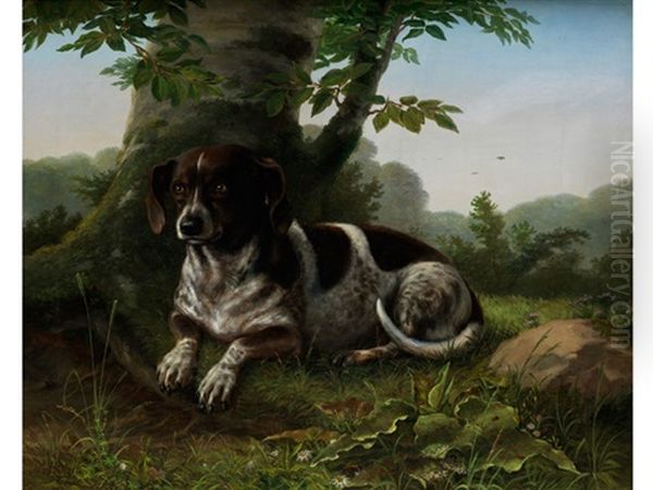 Jagdhund Am Fuse Eines Baumes - view 1