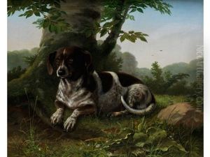 Jagdhund Am Fuse Eines Baumes