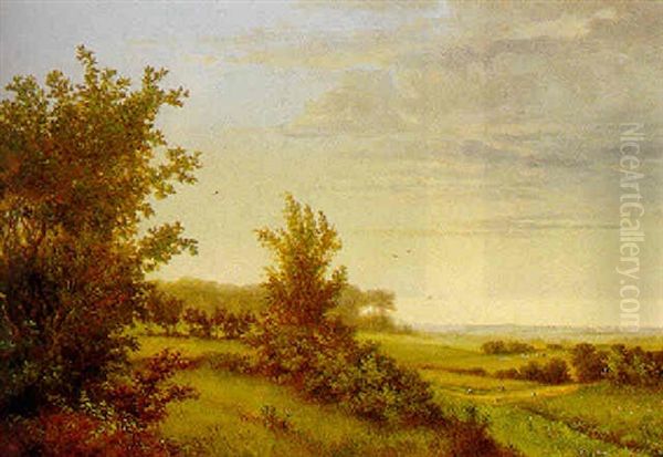 Dansk Sommerlandskab - view 1