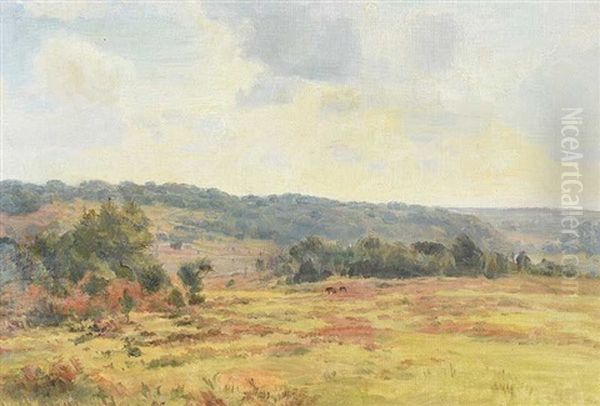 View Of The New Forest - view 1