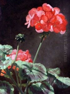 Pelegonian Blooms Pelegonian Blooms