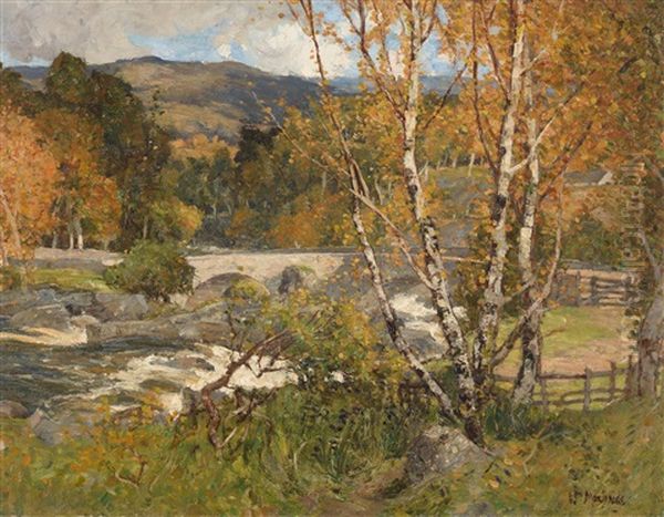 Herbstliche Flusslandschaft - view 1