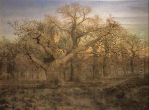 The Edge Of Sherwood Forest