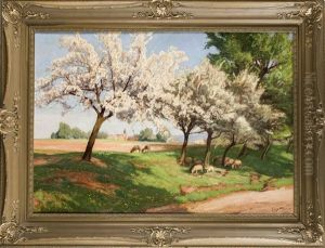 Landschaft Im Fruhling Mit Bluhenden Obstbaumen Und Schafen