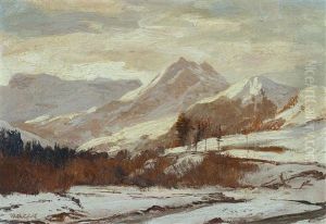 Studie In Den Alpen Studie In Den Alpen