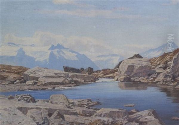 Im Quellgebiet Des Rheins - view 1