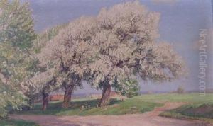 Blutenfulle - Weite Fruhlingslandschaft Mit Ausschlagenden Baumen