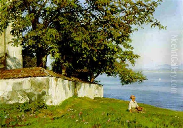 Traumerei (chiemsee) - view 1