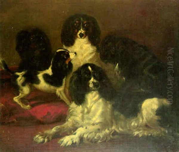 A Group Of Toy Spaniels - view 1