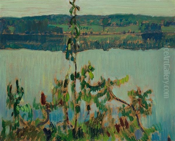 The Lake - view 1