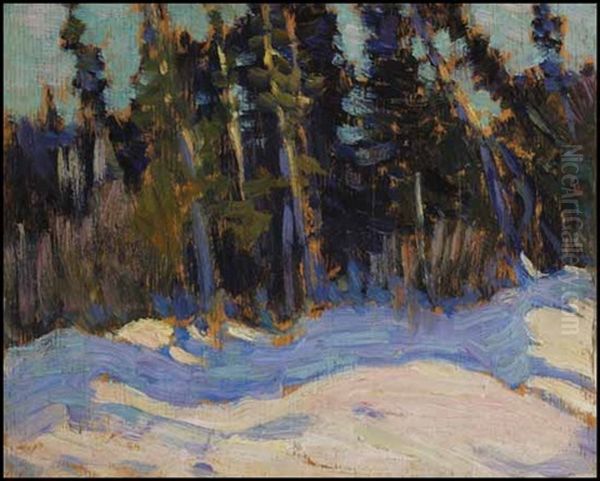 The Swamp, Algonquin Park - view 1