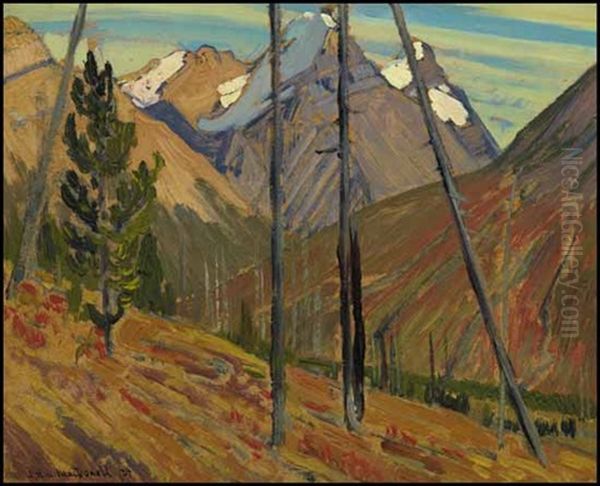 Rocky Mountains - view 1