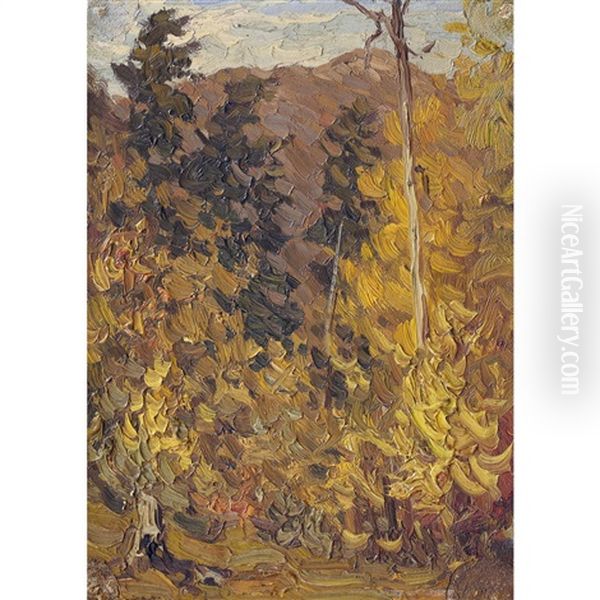 View Through The Trees, Autumn - view 1
