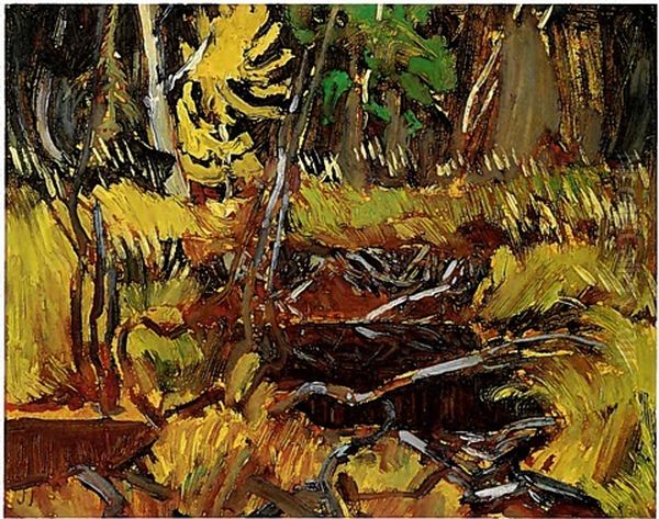 Old Beaver Dam, Algoma - view 1