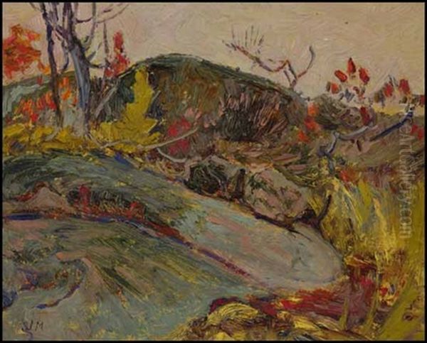 Rock Study, Haliburton County - view 1