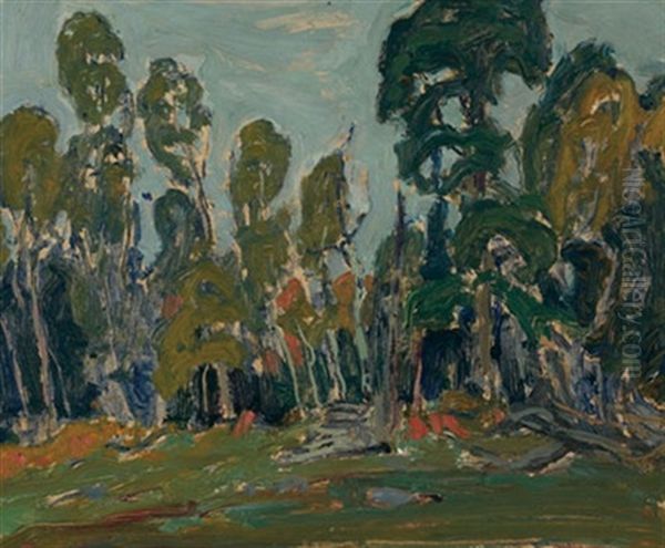 Edge Of The Bush - view 1
