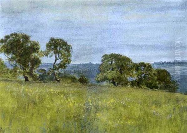 Summer Meadow And Trees - view 1