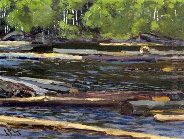 Logs On Gull River - view 1