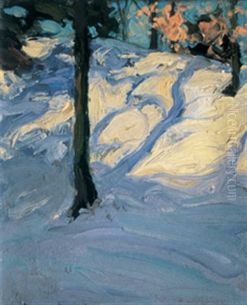 Winter, High Park, Toronto - view 1
