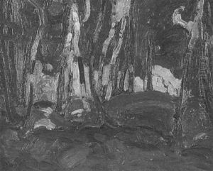 Woods, Roches Point