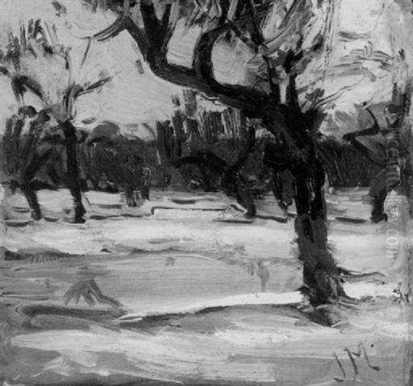 Trees In Winter - view 1