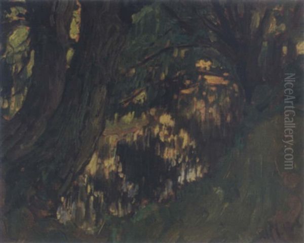 The Shaded Stream, Thornhill - view 1