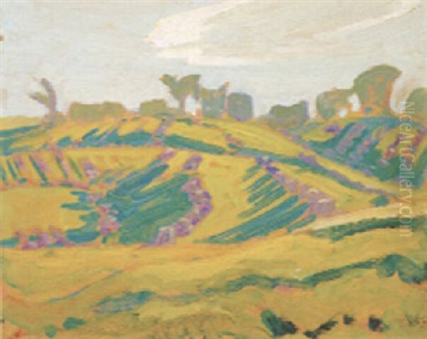 Wheat Stocks And Shadows, Thornhill - view 1