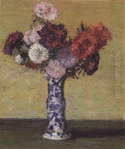 Asters - view 1