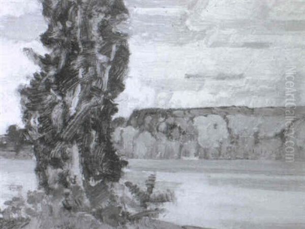 Muskoko Lake - view 1