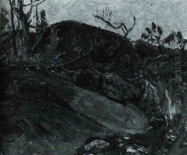 Rock Study, Haliburton County - view 1