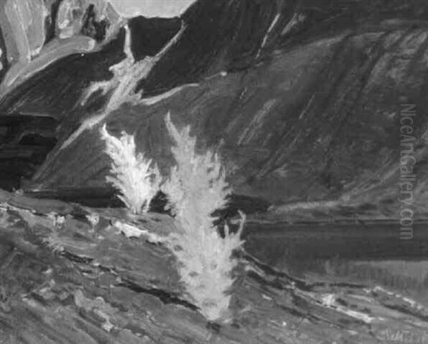 Larches, Mountain Lake - view 1