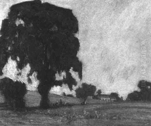 Trees At Thornhill - view 1