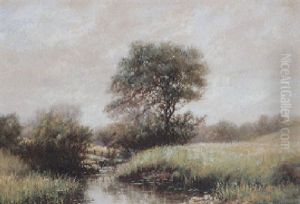 Fruhlingslandschaft Mit Bluhenden Wiesen, Bachlauf, Busch- Und Baumwerk