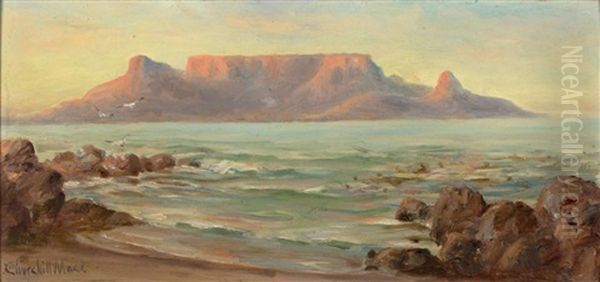 View Of Cape Town - view 1