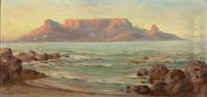 View Of Cape Town