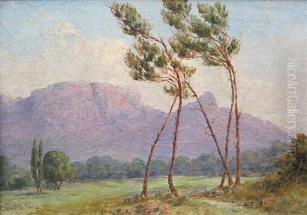 Paysage Aux Pins - view 1