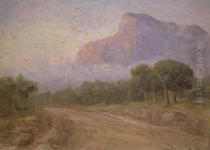Morning Mists