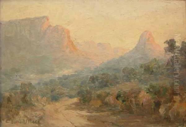 View Of Mountains And A Valley - view 1