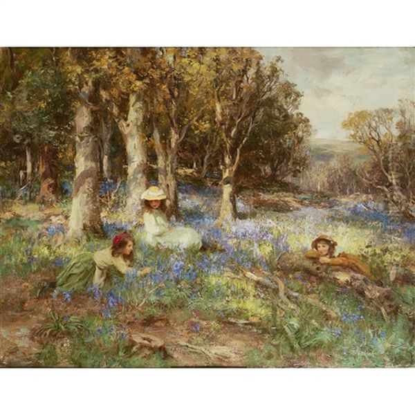 Blue Haze Of The Hyacinth - view 1