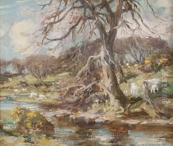 Springtime In Galloway, The Buckland Burn - view 1